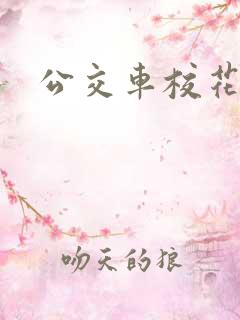 公交车校花h