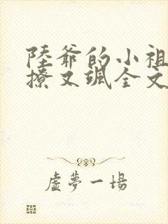 陆爷的小祖宗又撩又飒全文阅读免费