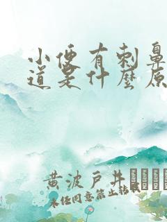 小便有刺鼻的味道是什么原因女性