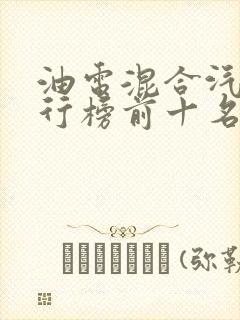 油电混合汽车排行榜前十名品牌30多万