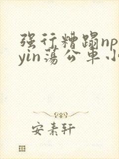 强行糟蹋np肉yin荡公车小说