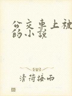 公交车上被玩弄的小说