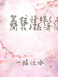 驾校情缘(老树开花)孙潇潇笔趣阁