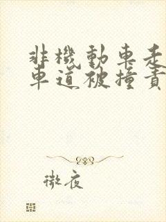 非机动车走机动车道被撞责任