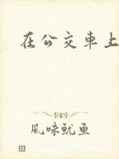 在公交车上公公