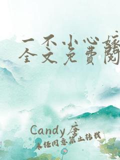 一不小心嫁总裁全文免费阅读
