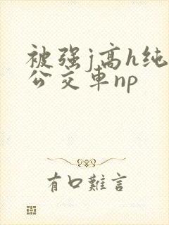 被强j高h纯肉公交车np