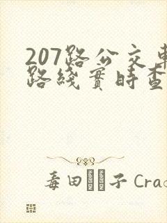 207路公交车路线实时查询