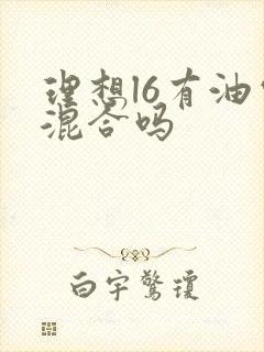 理想l6有油电混合吗