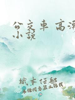 公交车 高潮 小说