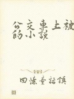 公交车上被玩弄的小说