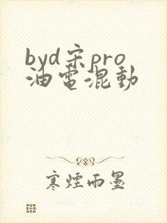 byd宋pro油电混动