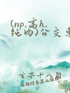 (np,高h,纯肉)公交车
