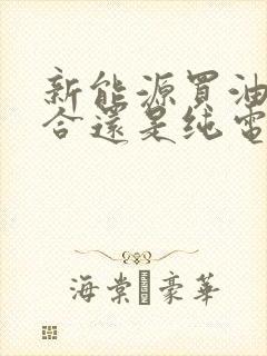 新能源买油电混合还是纯电的