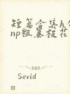短篇合集h公车np粗暴校花