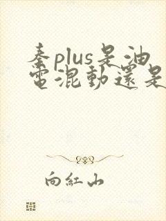 秦plus是油电混动还是插电混动