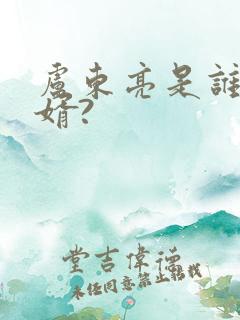 卢东亮是谁的女婿?