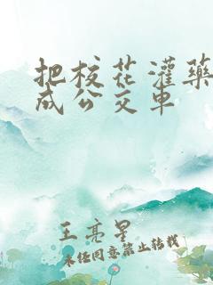 把校花灌药调教成公交车