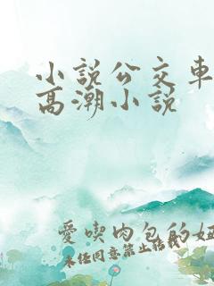 小说公交车被上高潮小说