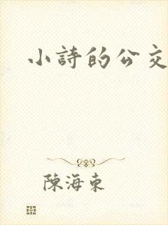 小诗的公交车日