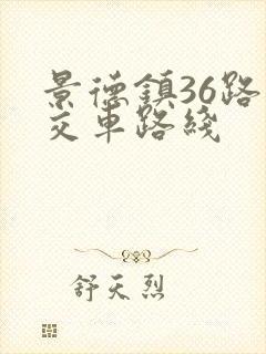 景德镇36路公交车路线