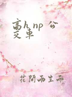 高h np 公交车