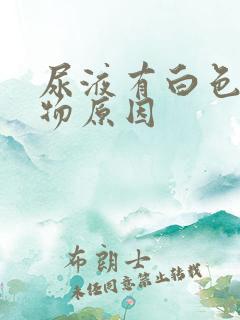 尿液有白色沉淀物原因