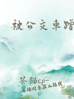 被公交车蹭