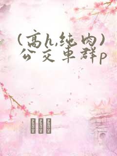 (高h,纯肉)公交车群p