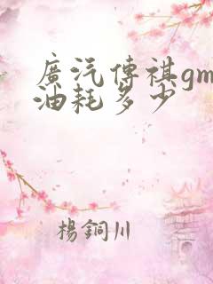 广汽传祺gm8油耗多少