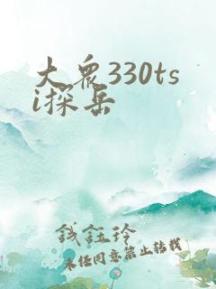 大众330tsi探岳