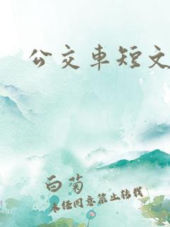 公交车短文h