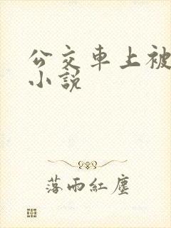 公交车上被强入小说