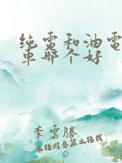 纯电和油电混合车哪个好