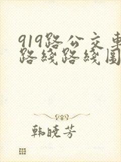 919路公交车路线路线图
