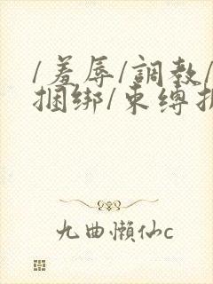 /羞辱/调教/捆绑/束缚折磨