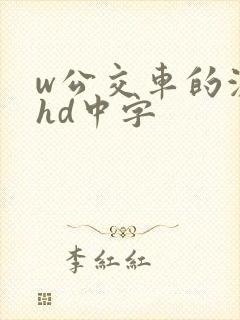 w公交车的激情hd中字