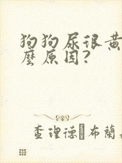 狗狗尿很黄是什么原因?