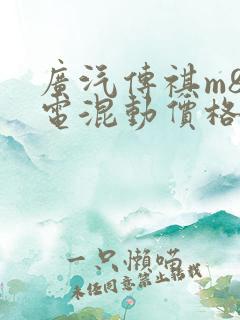 广汽传祺m8油电混动价格