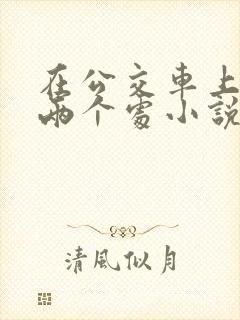 在公交车上破了两个处小说