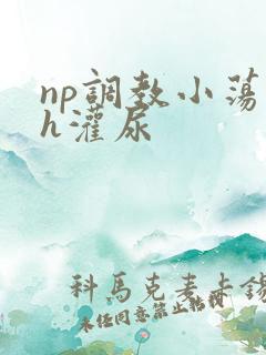 np调教小荡货h灌尿