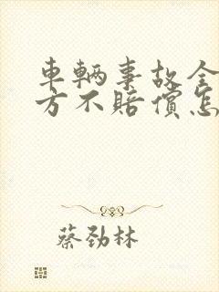车辆事故全责对方不赔偿怎么处理