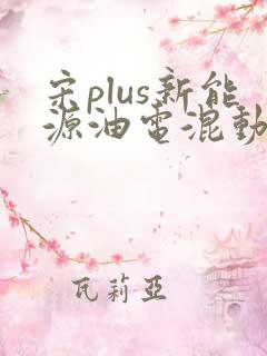 宋plus新能源油电混动