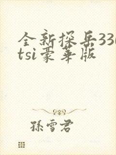 全新探岳330tsi豪华版