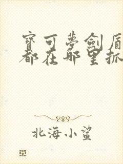 宝可梦剑盾神兽都在哪里抓