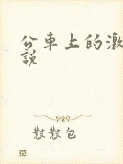 公车上的激情小说