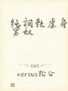 纯调教虐身惩罚男奴