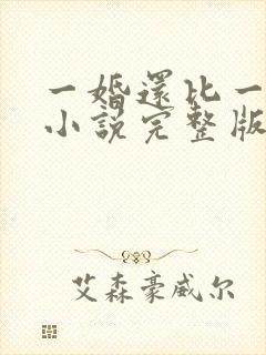 一婚还比一婚高小说完整版
