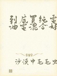 到底买纯电还是油电混合好