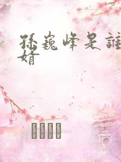 孙巍峰是谁的女婿